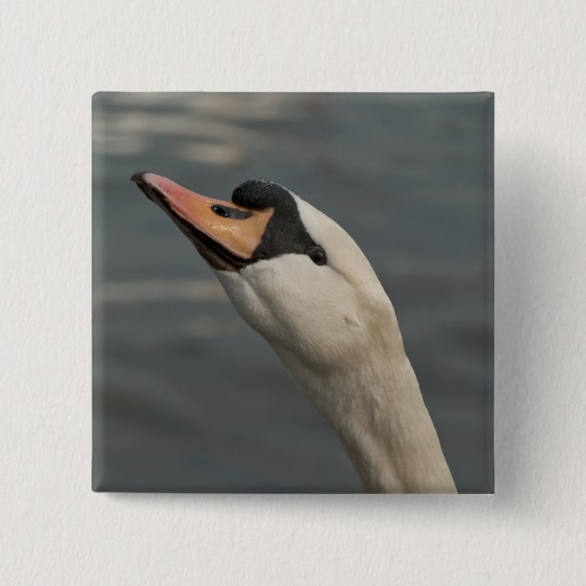 Swan 2 Inch Square Button (Front)