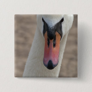 Swan 2 Inch Square Button