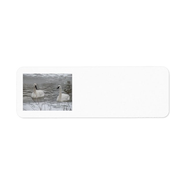 Swan Address Labels (Front)