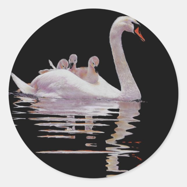 SWAN AND BROOD CLASSIC ROUND STICKER (Front)