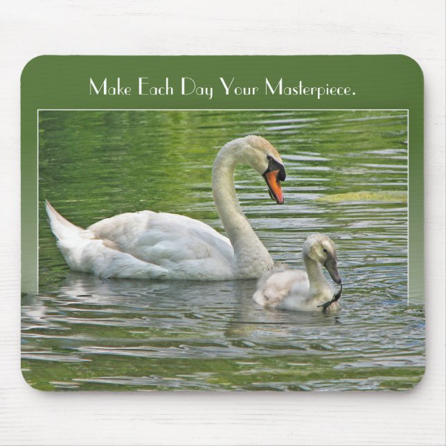 Swan and Cygnet In Water Mouse Pad (Front)
