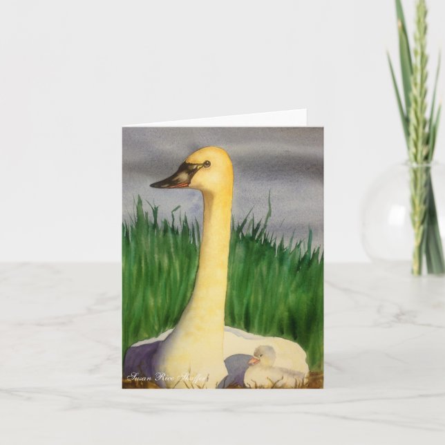 Swan and Cygnet Note Card (Front)