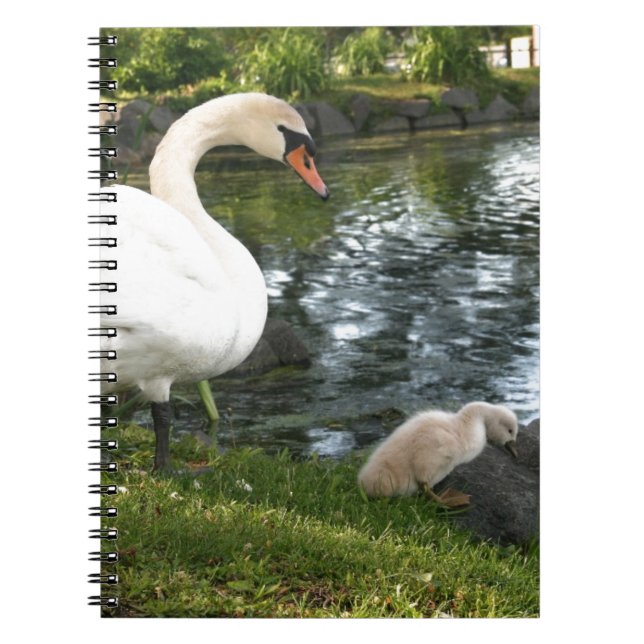 Swan and cygnet Photo Notebook (Front)