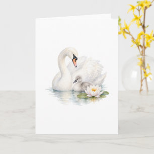 Swan and Cygnet with Water Lilies Card