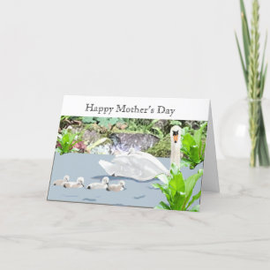 Swan and Cygnets Mother’s Day Holiday Card