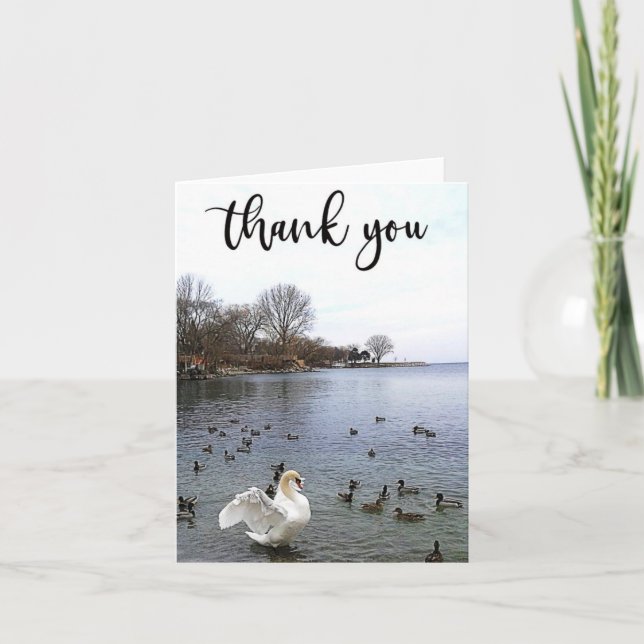 Swan and Ducks on Lake Thank You Card (Front)