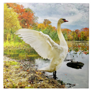 Swan and Fall Ceramic Tile