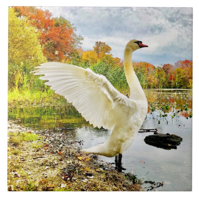 Swan and Fall Ceramic Tile (Front)