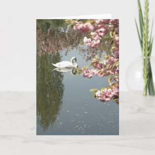 swan and pink blossoms card