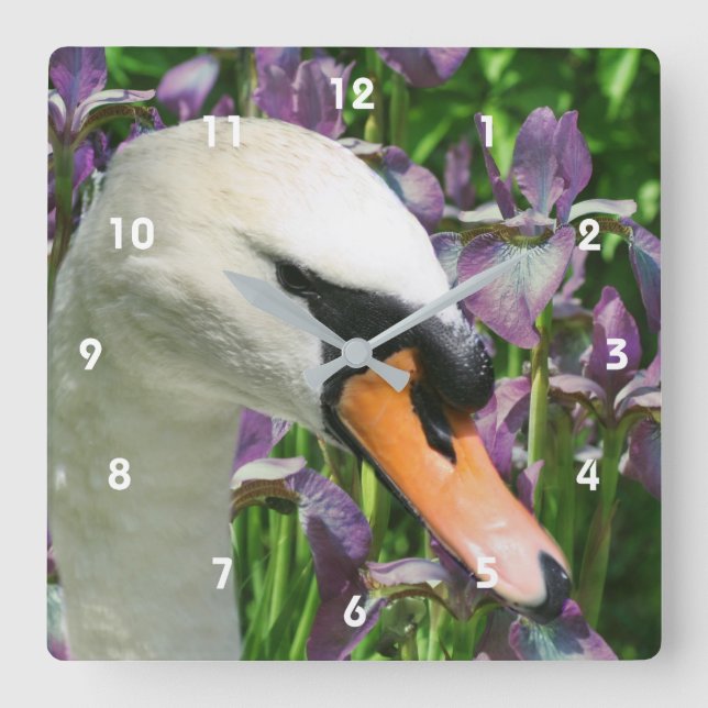 Swan And Purple Bearded Iris Flowers Square Wall Clock (Front)