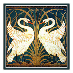 Swan and Rush and Iris Photo Print