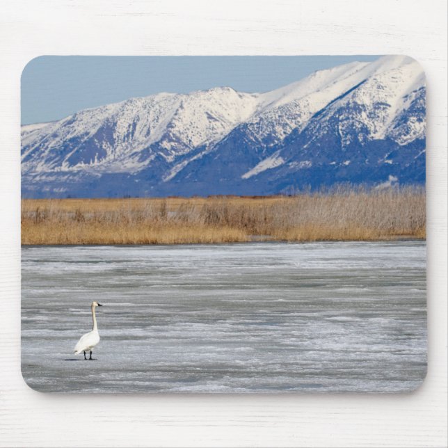 Swan and Snow Mouse Pad (Front)