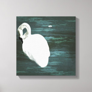 Swan at the Pond Canvas Print