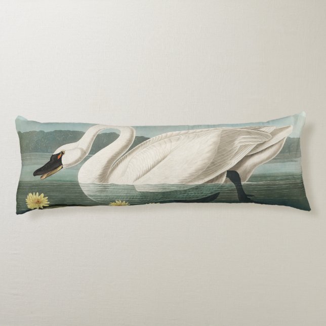 swan audubon bird white water swans body pillow (Back)