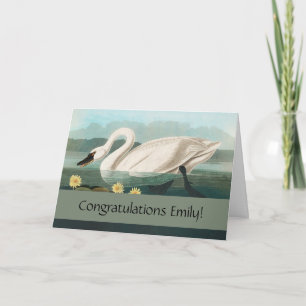 swan audubon bird white water swans card