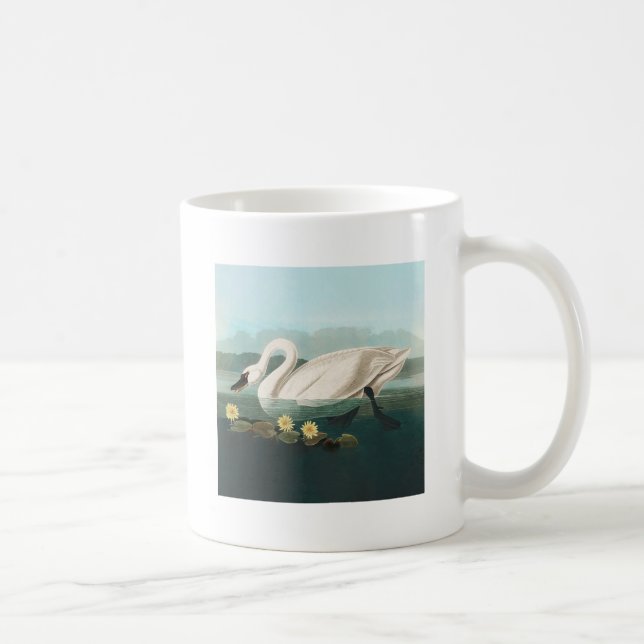 swan audubon bird white water swans coffee mug (Right)