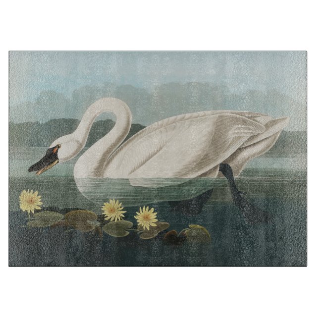 swan audubon bird white water swans cutting board (Front)