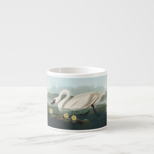 swan audubon bird white water swans espresso cup (Front)