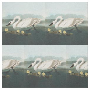 swan audubon bird white water swans fabric