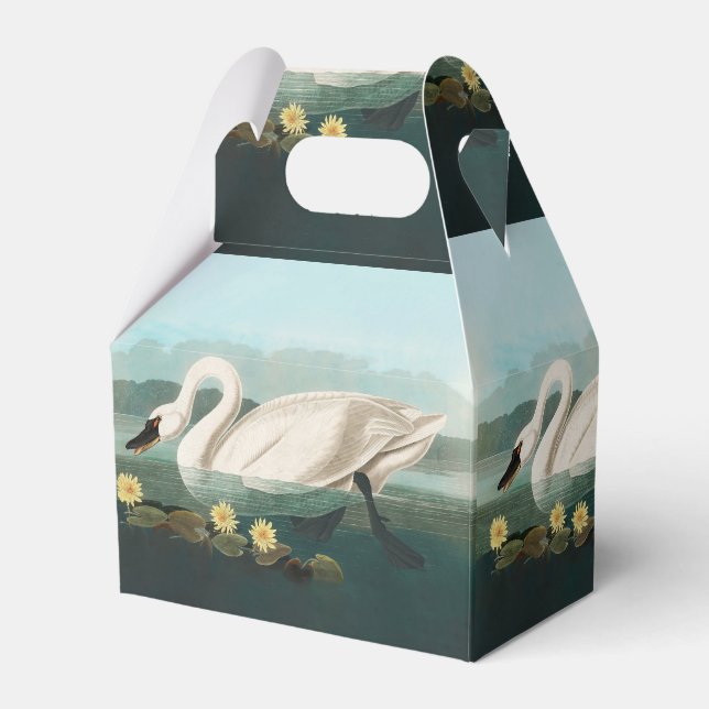swan audubon bird white water swans favor box (Front Side)