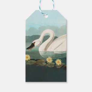 swan audubon bird white water swans gift tags