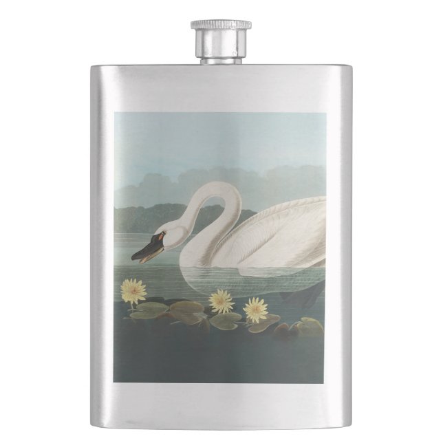 swan audubon bird white water swans hip flask (Front)