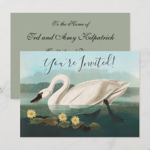 swan audubon bird white water swans invitation