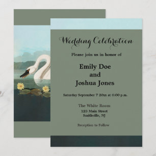 swan audubon bird white water swans invitation