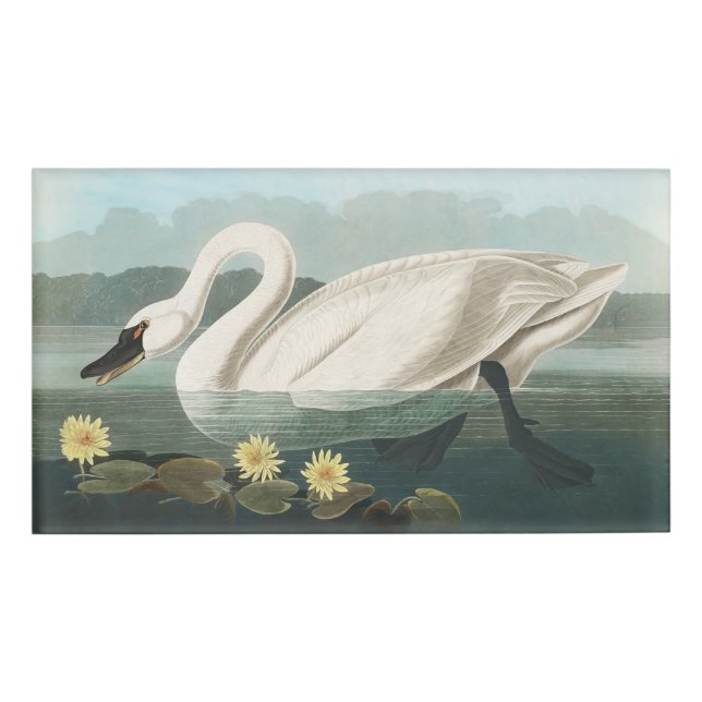 swan audubon bird white water swans name tag (Front)