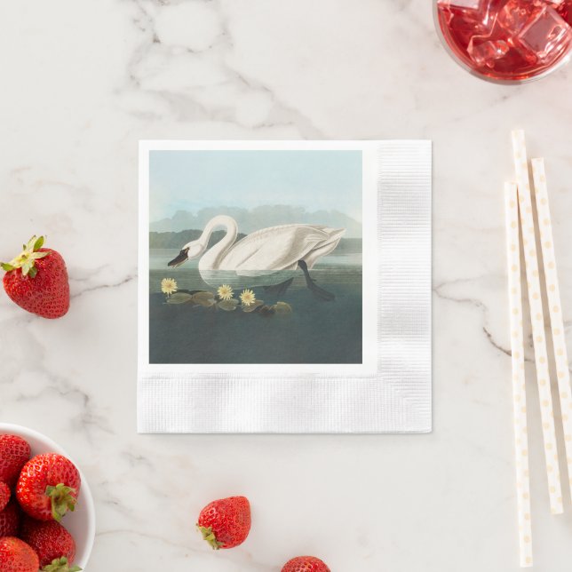 swan audubon bird white water swans napkin (Insitu)