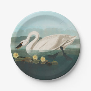 swan audubon bird white water swans paper plate