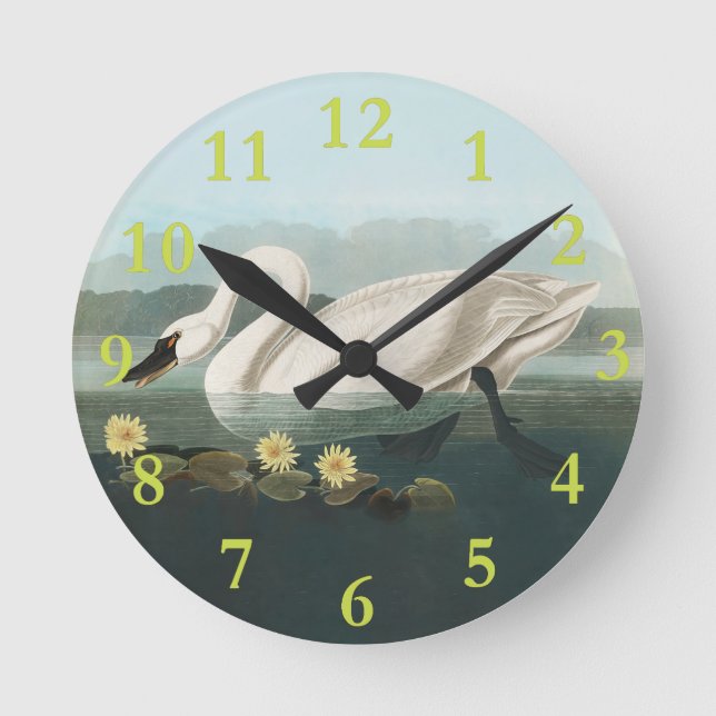 swan audubon bird white water swans round clock (Front)