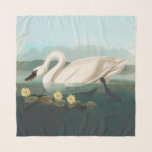 swan audubon bird white water swans scarf<br><div class="desc">This antique swan bird image is based on the John James Audubon illustration of the White Swan - the water bird is from the classic Birds of America prints,  published in the early 1800s.</div>