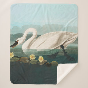 swan audubon bird white water swans sherpa blanket