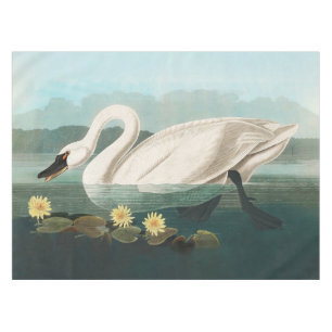 swan audubon bird white water swans tablecloth