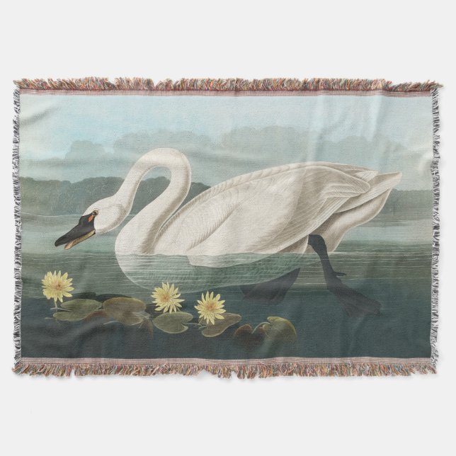 swan audubon bird white water swans throw blanket (Front)
