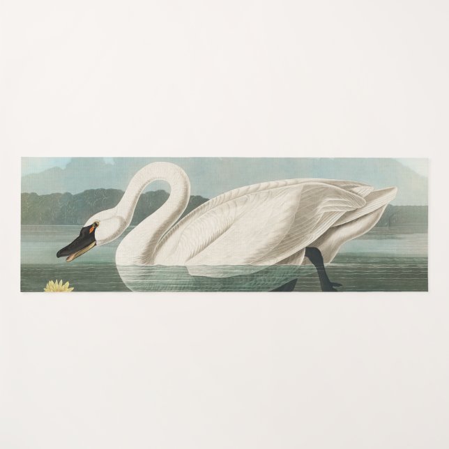 swan audubon bird white water swans yoga mat (Front (Horizontal))