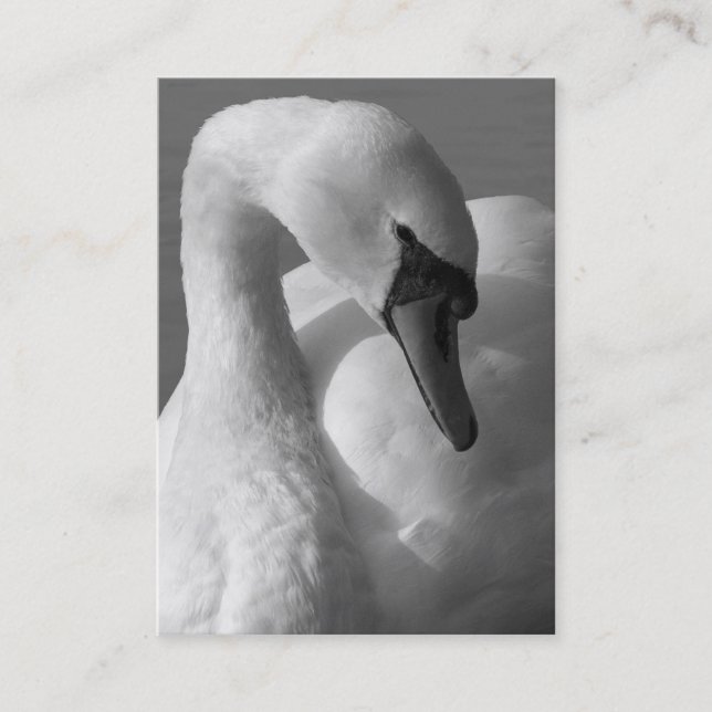 Swan B&W Business Card (Front)