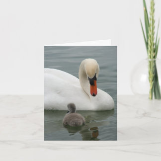 Swan Baby Announcement