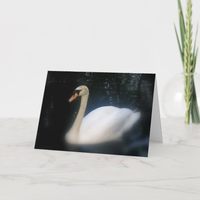 Swan Birthday card (Front)