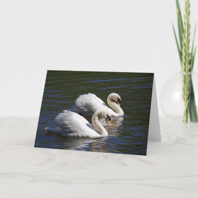 Swan Birthday Card (Front)