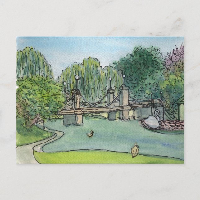 Swan Boats Boston Public Gardens Postcard (Front)