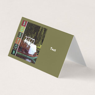 Swan Boats in Summer - Boston 