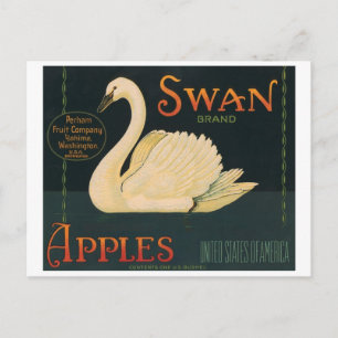Swan Brand Apples Vintage Crate Label Postcard