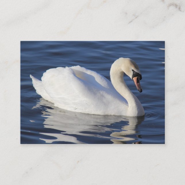 Swan Business Card (Front)