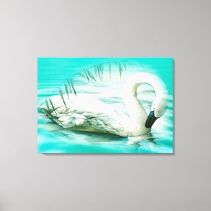 Swan Canvas Print