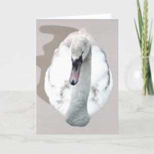 Swan. Card
