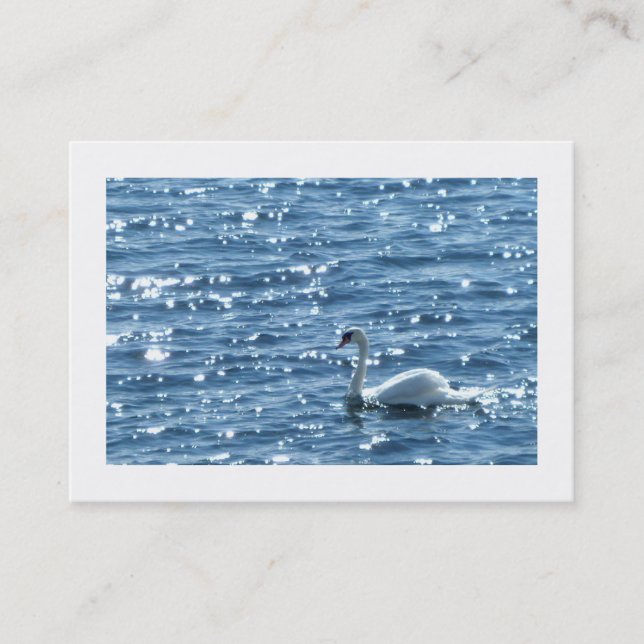 Swan, Cardiff Bay, Cardiff. Business Card (Front)