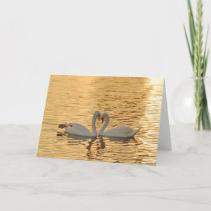 Swan Couple Meeting at Sunset Photograph Card