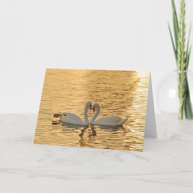Swan Couple Meeting at Sunset Photograph Card (Front)